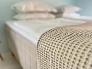 Tiny house - in medieval Ystad