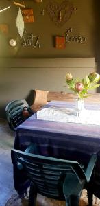 Island Cabin at Drakensberg International Backpackers