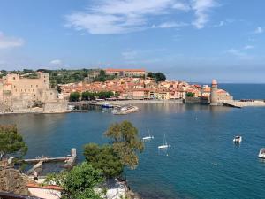 DUPLEX REP 10 COEUR de COLLIOURE