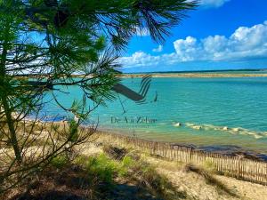 Maisons de vacances La Verrerie - Maison coeur de ville avec jardin : photos des chambres