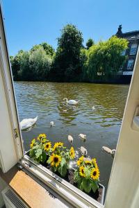 Peaceful room on a houseboat in the city centre