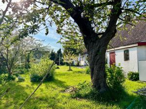 Noorbohandelens Bed & Breakfast