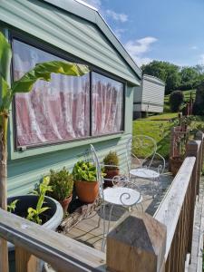 Audrey the Caravan of Dreams