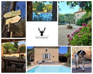 Appartements L- Ecurie : photos des chambres