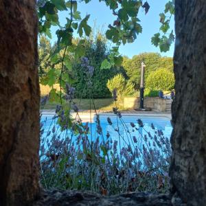 Appartements L- Ecurie : photos des chambres