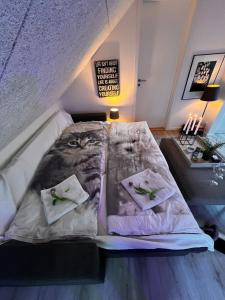 Dalgade loft and living