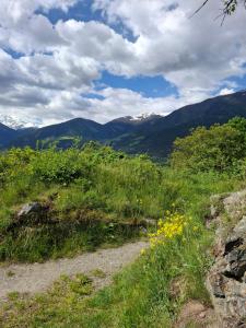 Haus18. 4