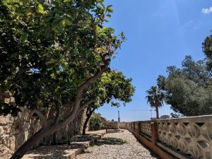 EVH-113 Casa Martina