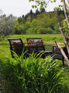 Maisons de vacances Gite les Syrphes : photos des chambres