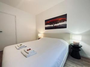 1 Clairmarais T2 cosy a 2 pas du centre-ville