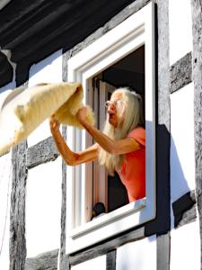 Haus der Behaglichkeit