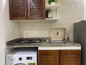 Luxury studio in October City2