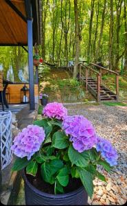 Montebello Chalet