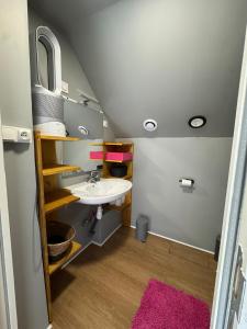 Maisons de vacances Maison entiere sur une ile privee, au coeur du marais de Tilques : photos des chambres