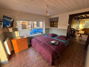 Maisons de vacances Maison entiere sur une ile privee, au coeur du marais de Tilques : photos des chambres