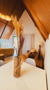 Cabana Gameleira - Viagem Inspirada