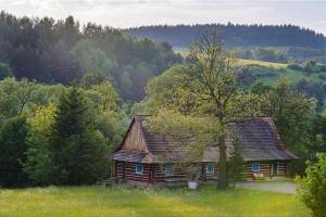 Chata Nad Wisłokiem
