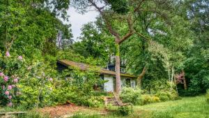 Cozy house in the middle of nature
