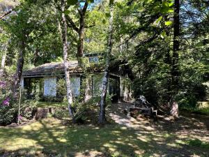Cozy house in the middle of nature