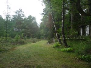 Cozy house in the middle of nature