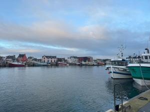 Maisons de vacances Le Dock De La Pointe : photos des chambres