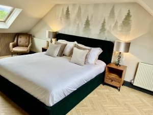 Fergus in ApartNest Auchterarder