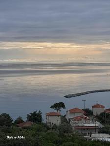 challet Nestor