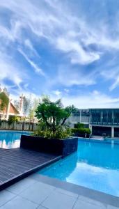 Urban Boho Oasis1 Studio With Balcony