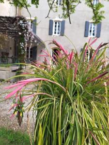 B&B / Chambres d'hotes domaine de Capoulade : photos des chambres