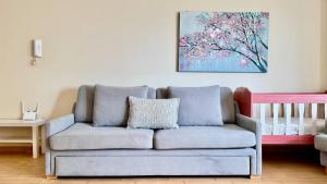 Your Comfy Apartment