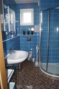 Ski Apartmán Salomon