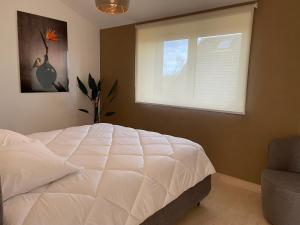 Appartements Les gites du champ des oiseaux : photos des chambres