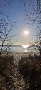 Strandtraum Lobbe Fewo 20 bis 4 Personen, auf Anfrage mit Strandkorb