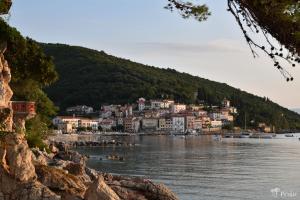 Studio apartment Peršić