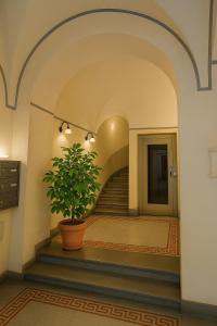 Tourist rental 34537 in the historic center