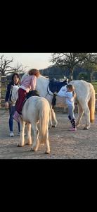 Ferienhaus für max 6 Gäste