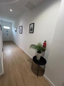 Appartements Studios Izicozy I Confort et jardin en ville, proche gare I 2 et 4 pers : photos des chambres
