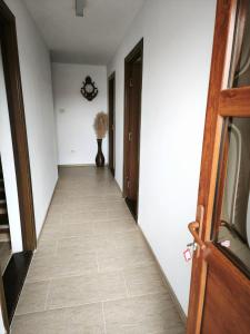 Vila Marius-camere de închiriat