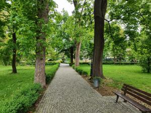 Apartament Jak w banku II