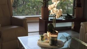 Luxury apartment, beach and swimming pool