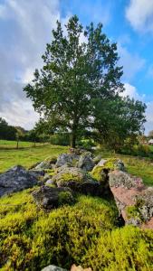 Trehornahult Lillstugan