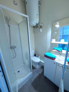 Appartements Grands Studios Maillochon acces Gare de Poitiers et Centre ville a Pieds : photos des chambres
