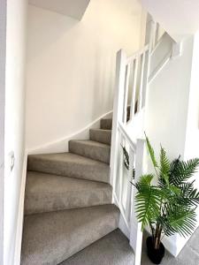 Park House by Blue Skies Stays