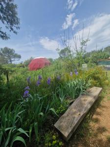 Tentes de luxe Yourte cosy en pleine nature, proche Sainte-Baume : photos des chambres