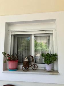 Elenas and Evies apartment