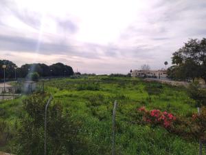 Apartamento Lota Beach