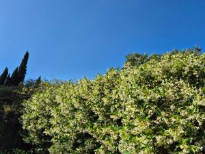 Appartements Mas de la Petite Jeanne : photos des chambres