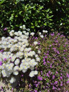 Appartements Mas de la Petite Jeanne : photos des chambres