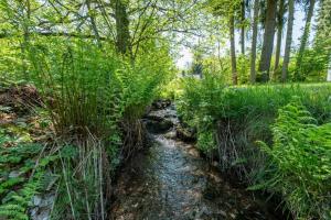 4 Personen mit Sauna F0H1