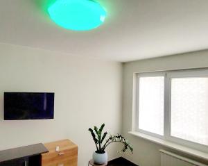 Kalniečiai park apartment